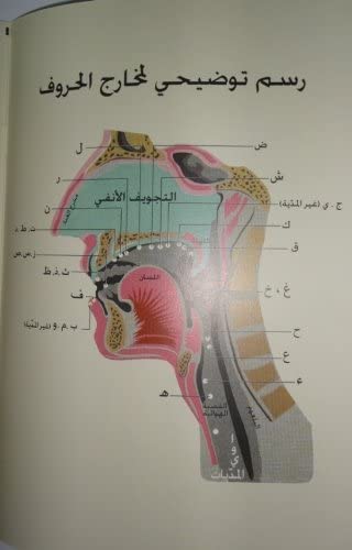 القرآن الكريم المجوَد ٣٠ جزء