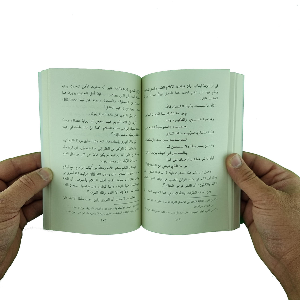 مسلكيات